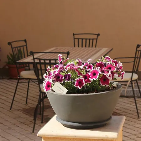 Mirabile Tatil Evi Marsala